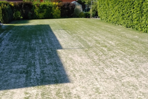 zapískování trávníku po aerifikaci